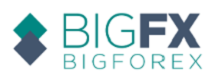 BIGFX Logo