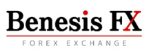 Benesis FX Logo