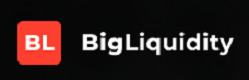 BigLiquidity Logo