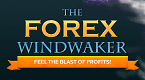 Forex WindWaker Logo