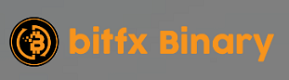 BitFX Binary Logo