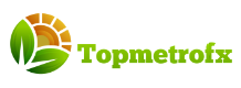 Topmetrofx Logo